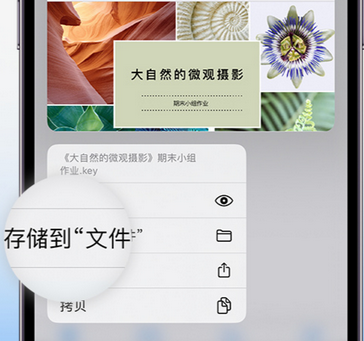 云梦apple维修中心分享iPhone文件应用中存储和找到下载文件