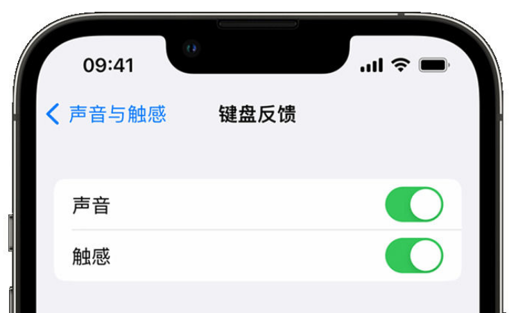 云梦苹果手机维修分享iPhone 14触感键盘使用方法 