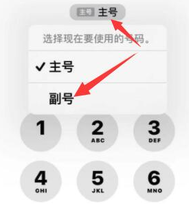 云梦苹果14维修店分享iPhone 14 Pro Max使用副卡打电话的方法 