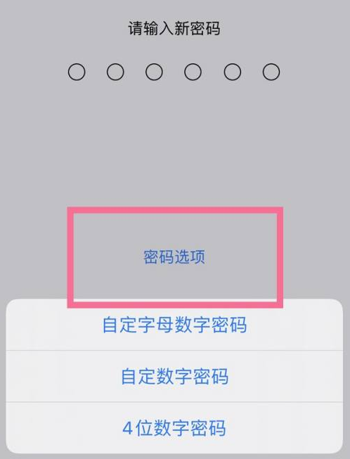 云梦苹果14维修分享iPhone 14plus设置密码的方法 