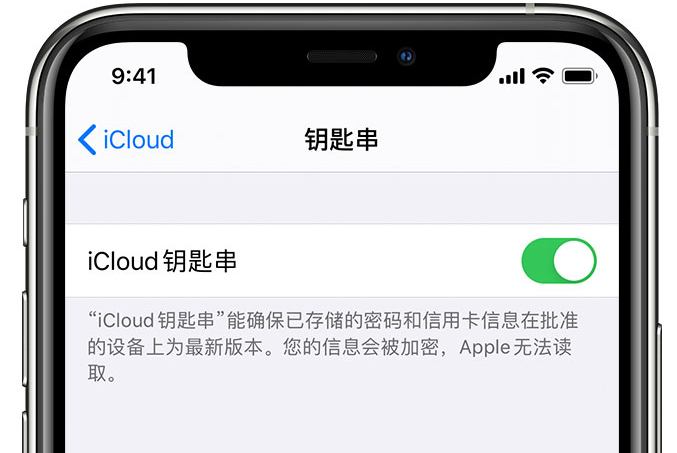 云梦苹果手机维修分享在 iPhone 上开启 iCloud 钥匙串之后会储存哪些信息 